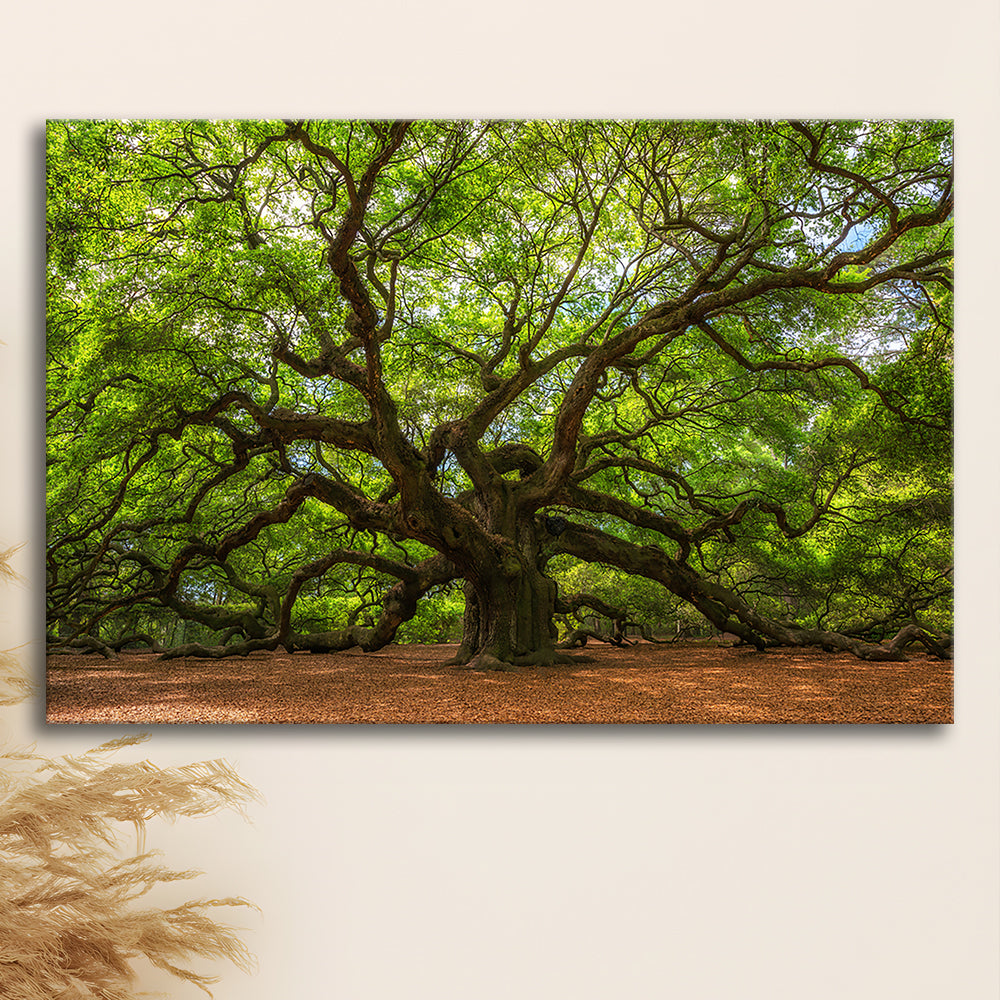 Angle Oak Tree in Johns Island, South Carolina, Cavas Print Wall Art Hom Decor