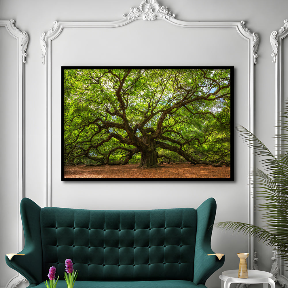 Angle Oak Tree In Johns Island, South Carolina, Framed Art Print, Picture Framed