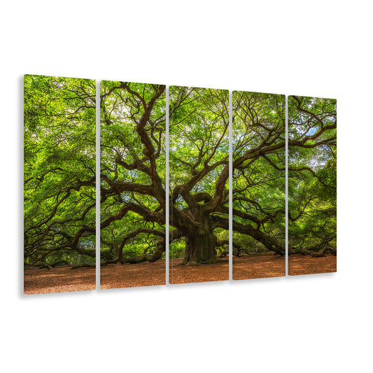 Angle Oak Tree in Johns Island, South Carolina, 5 Piece B Extra Large Cavas Print Wall Art Decor