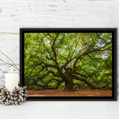 Angle Oak Tree In Johns Island, South Carolina, Framed Cavas Print, Floating Frame