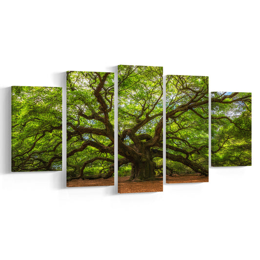 Angle Oak Tree in Johns Island, South Carolina, 5 Piece Large Cavas Print Wall Art