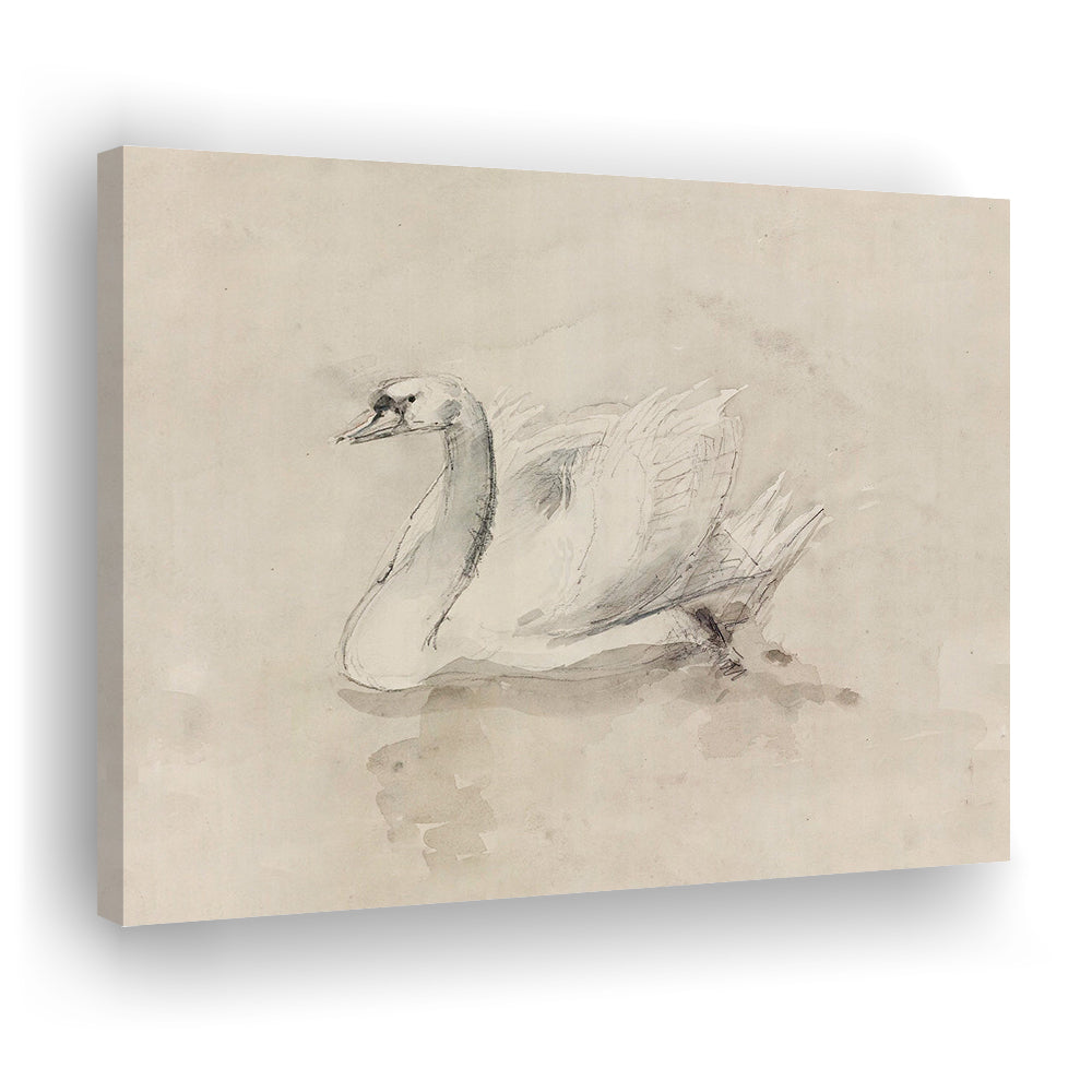Antique Swan SketchPrint Yourself 19th Century Art Muted Wall Decor, Ready to hang