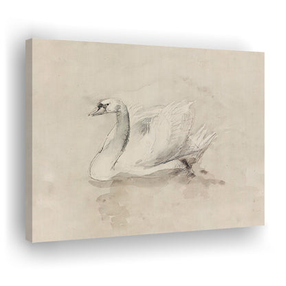 Antique Swan SketchPrint Yourself 19th Century Art Muted Wall Decor, Ready to hang