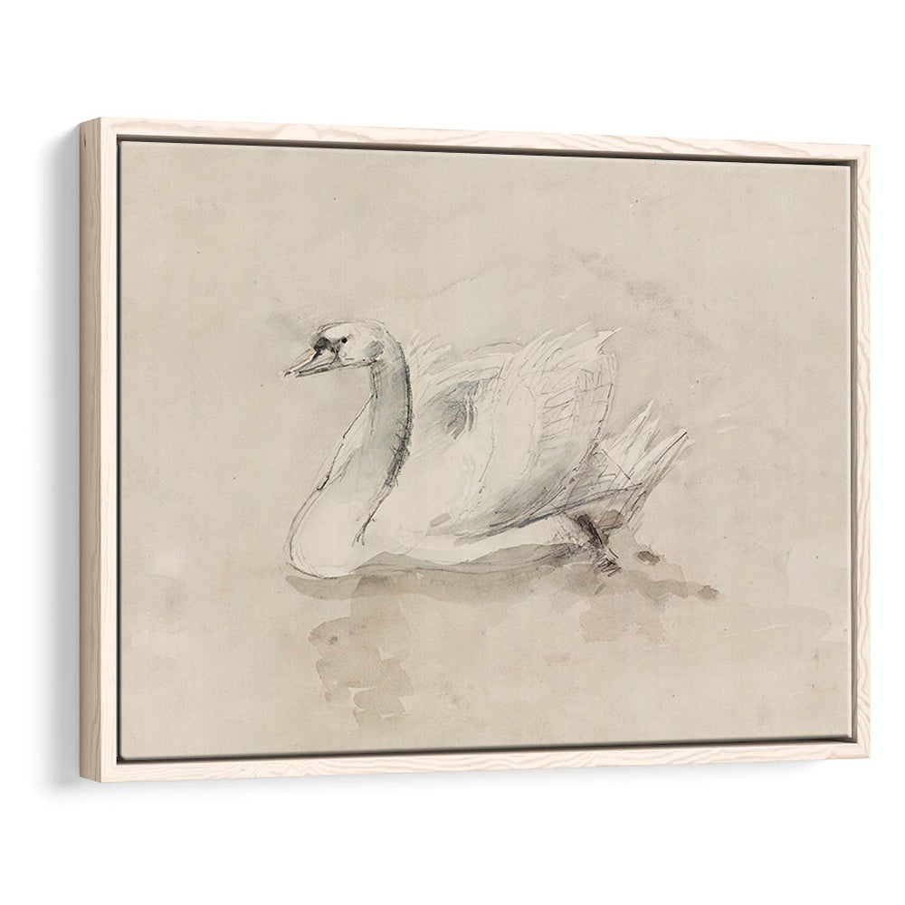 Antique Swan SketchPrint Yourself 19th Century Art Muted Wall Decor, Ready to hang