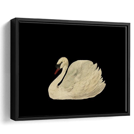 Antique Swan Watercolor Painting Neutral Framed Canvas Print Wall Art, Large Wall Art Cottagecore Decor, Vintage Swan