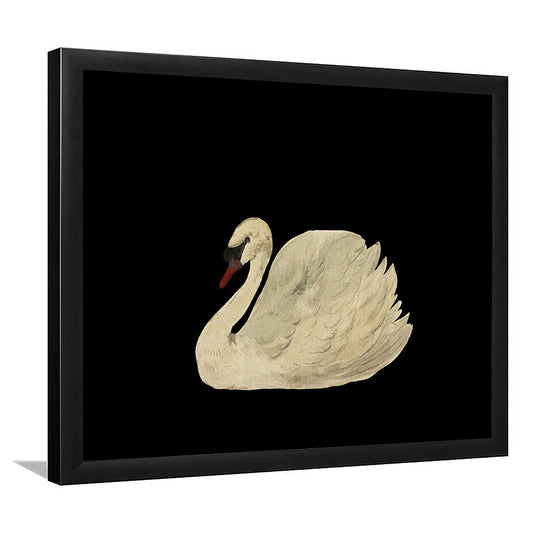 Antique Swan Watercolor Painting Neutral Framed Art Print Wall Decor, Large Wall Art Cottagecore Decor, Vintage Swan