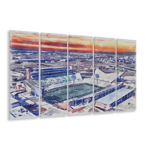 Apogee Stadium, North Texas Mean Green Watercolor, Sport Art, Extra Large Canvas Print Wall Art