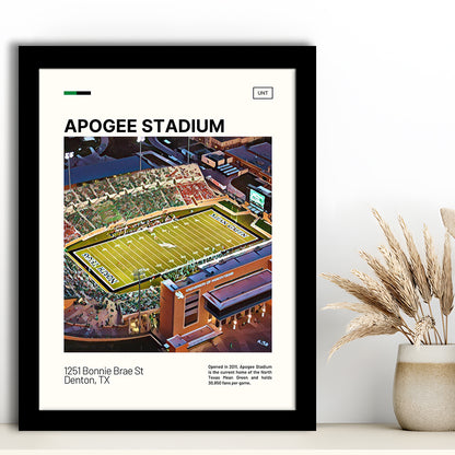Apogee Stadium Print, North Texas Mean Green Stadium Art, Gifts for him, Sport Art, Framed Art Print Wall Decor