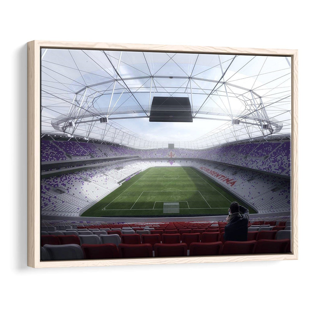 Artemio Franchi Stadium in Italy, Stadium Canvas, Sport Art, Framed Canvas Print Wall Art, Floating Frame