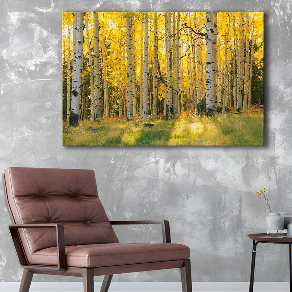 Aspen trees in a forest Coconino National forest, Cavas Print Wall Art Hom Decor