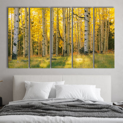 Aspen trees in a forest Coconino National forest, 5 Piece B Extra Large Cavas Print Wall Art Decor