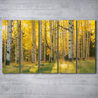 Aspen trees in a forest Coconino National forest, 5 Piece B Extra Large Cavas Print Wall Art Decor
