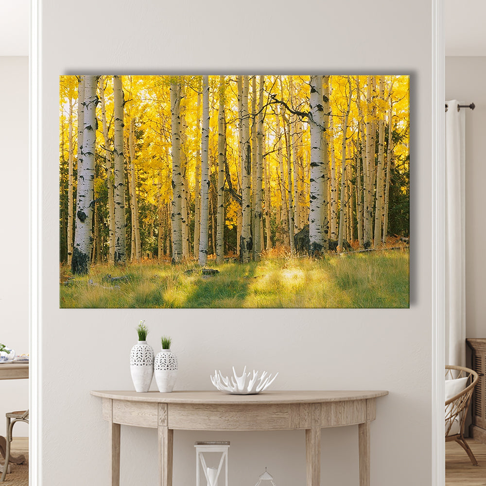 Aspen trees in a forest Coconino National forest, Cavas Print Wall Art Hom Decor