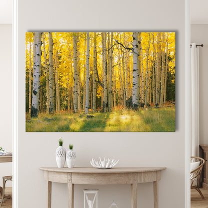 Aspen trees in a forest Coconino National forest, Cavas Print Wall Art Hom Decor