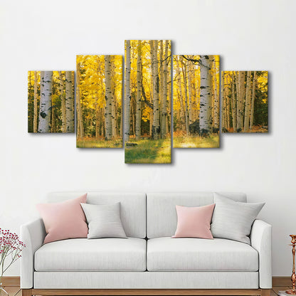Aspen trees in a forest Coconino National forest, 5 Piece Large Cavas Print Wall Art