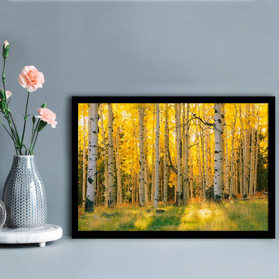 Aspen Trees In A Forest Coconino National Forest, Framed Art Print, Picture Framed