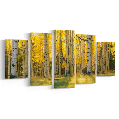 Aspen trees in a forest Coconino National forest, 5 Piece Large Cavas Print Wall Art