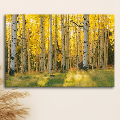 Aspen trees in a forest Coconino National forest, Cavas Print Wall Art Hom Decor