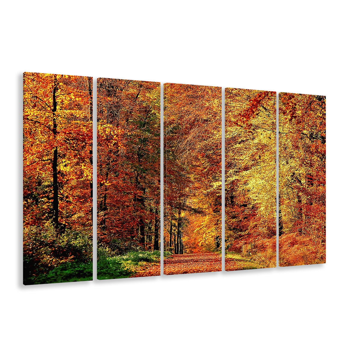 Autumn Way Large Stretched Canvas Floating Frame Wall Art Print, 5 Piece B Extra Large Cavas Print Wall Art Decor