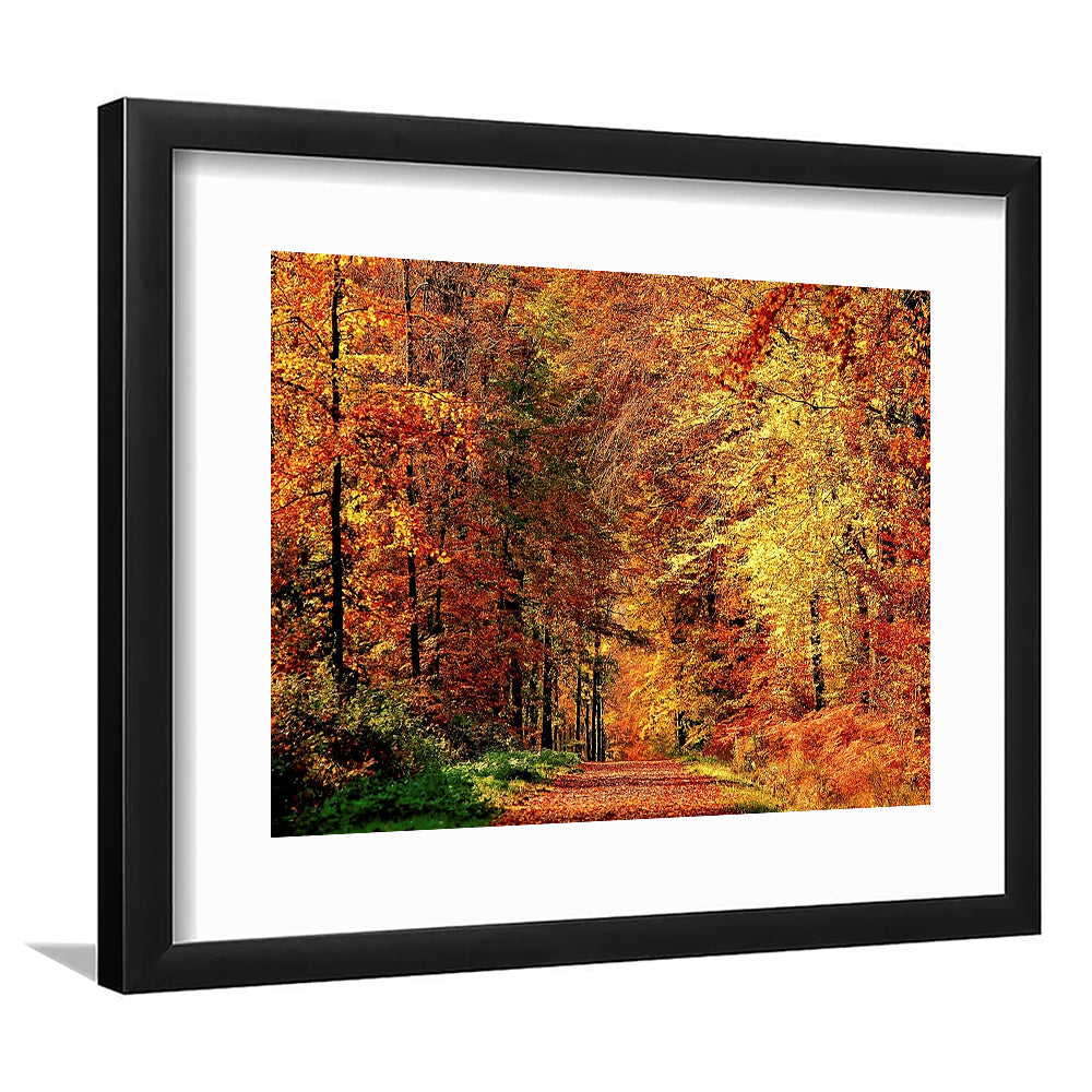 Autumn Way Large Stretched Floating Frame Wall Art Print, Framed Art Print White Border