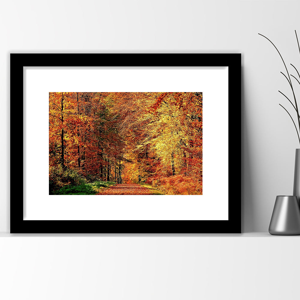 Autumn Way Large Stretched Floating Frame Wall Art Print, Framed Art Print White Border