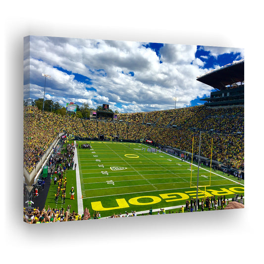 Autzen Stadium Field, Stadium Canvas, Sport Art, Gift for him, Man Cave Decor, Art Print, Canvas Print Wall Art