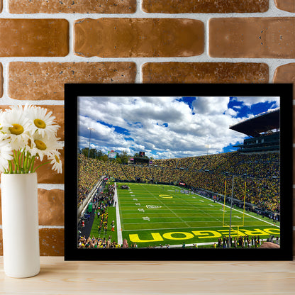 Autzen Stadium Field, Stadium Canvas, Sport Art, Gift for him, Framed Art Print Wall Decor, Picture Framed