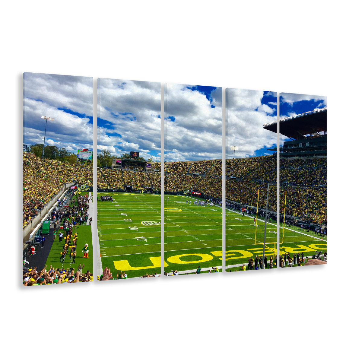 Autzen Stadium Field, Stadium Canvas, Sport Art, 5 Panel B, Extra Large Canvas, Canvas Print Wall Art