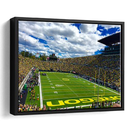 Autzen Stadium Field, Stadium Canvas, Sport Art, Framed Canvas Print Wall Art, Floating Frame