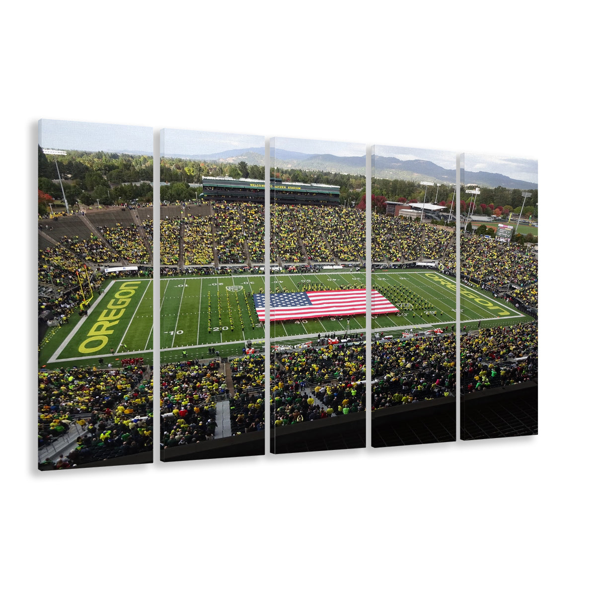 Autzen Stadium Interior, Stadium Canvas, Sport Art, 5 Panel B, Extra Large Canvas, Canvas Print Wall Art