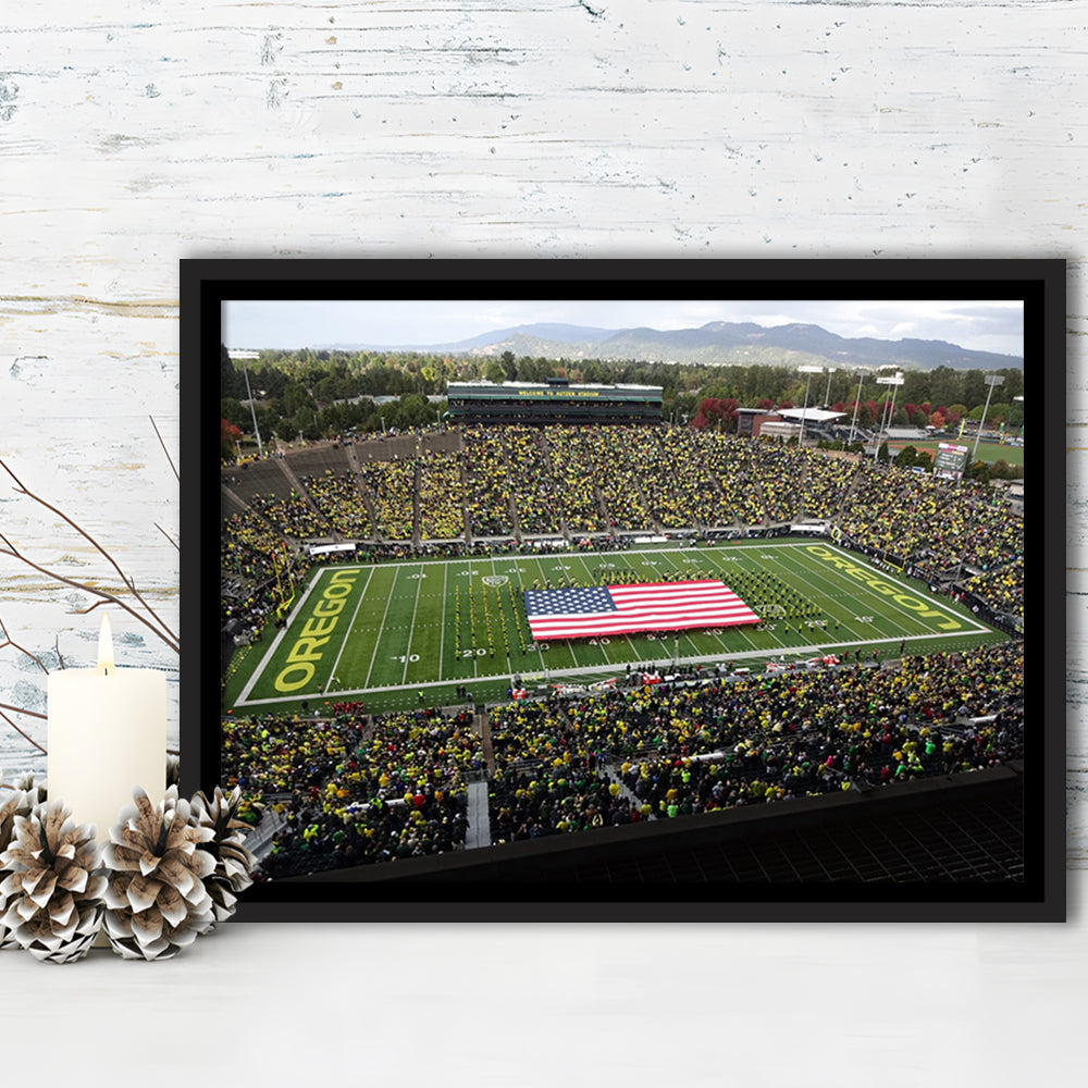 Autzen Stadium Interior, Stadium Canvas, Sport Art, Framed Canvas Print Wall Art, Floating Frame