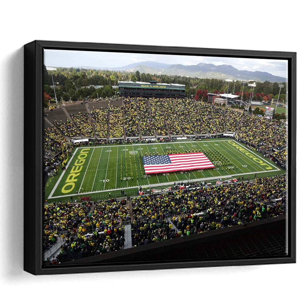 Autzen Stadium Interior, Stadium Canvas, Sport Art, Framed Canvas Print Wall Art, Floating Frame