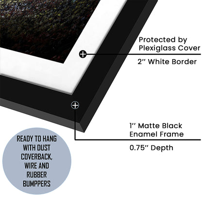 Barcelona Catalonia Football Stadium, Stadium Canvas, Sport Art, Gift for him, White Border Framed Art Print Wall Decor