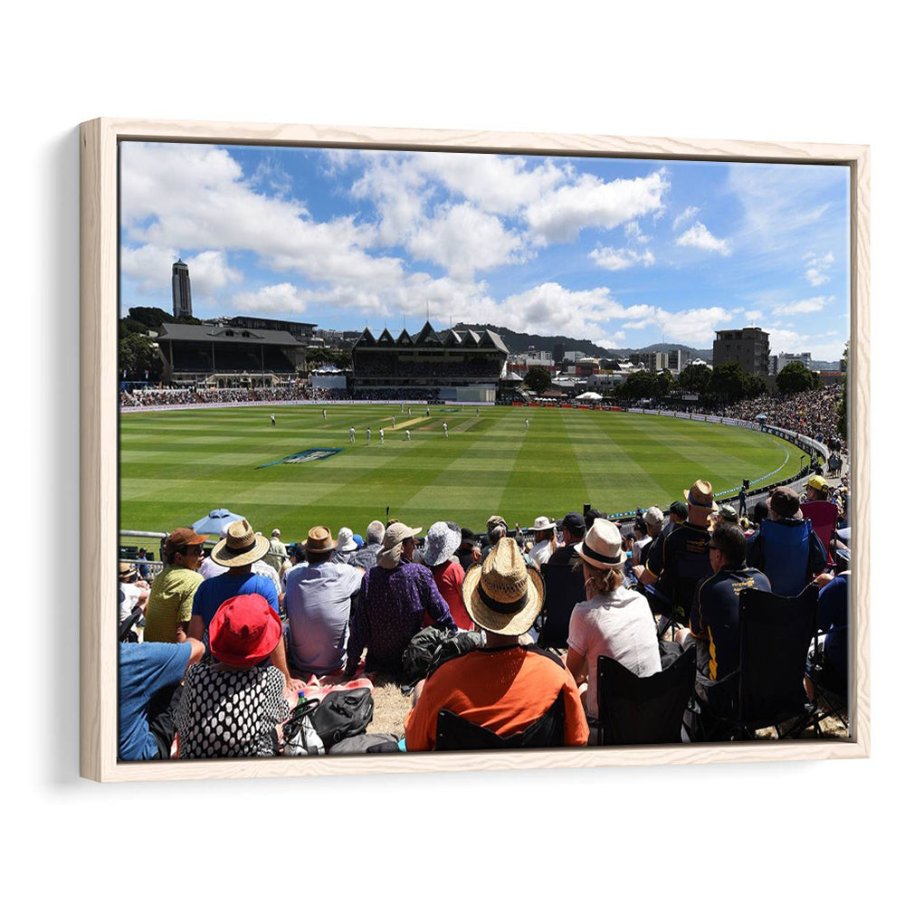 Basin Reserve, Stadium Canvas, Sport Art, Framed Canvas Print Wall Art, Floating Frame