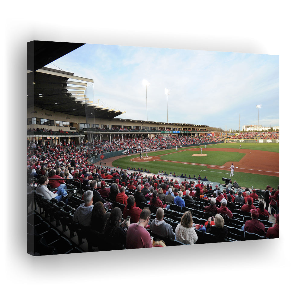 Baum Stadium Crowd, Stadium Canvas, Sport Art, Gift for him, Man Cave Decor, Art Print, Canvas Print Wall Art