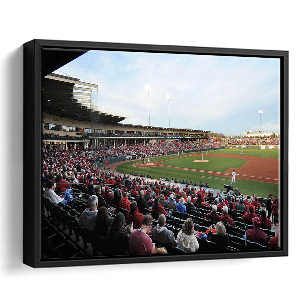 Baum Stadium Crowd, Stadium Canvas, Sport Art, Framed Canvas Print Wall Art, Floating Frame