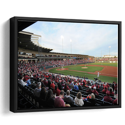 Baum Stadium Crowd, Stadium Canvas, Sport Art, Framed Canvas Print Wall Art, Floating Frame