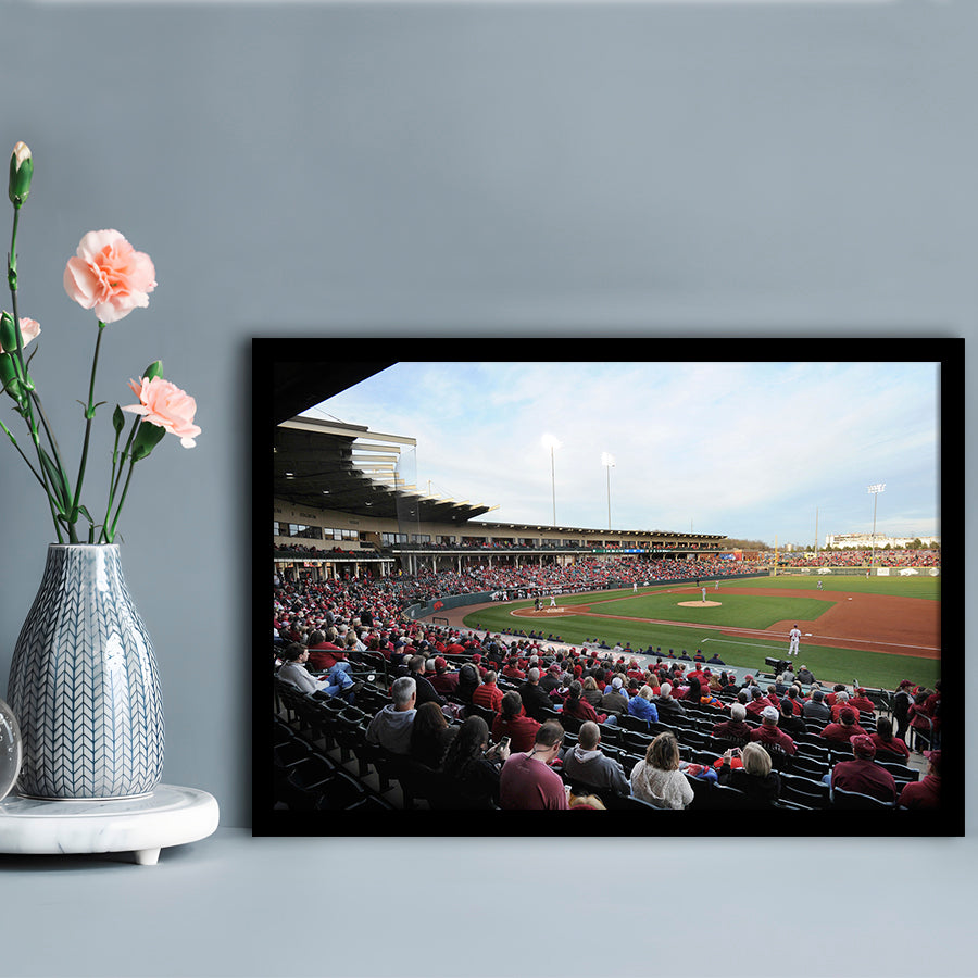Baum Stadium Crowd, Stadium Canvas, Sport Art, Gift for him, Framed Art Print Wall Decor, Picture Framed