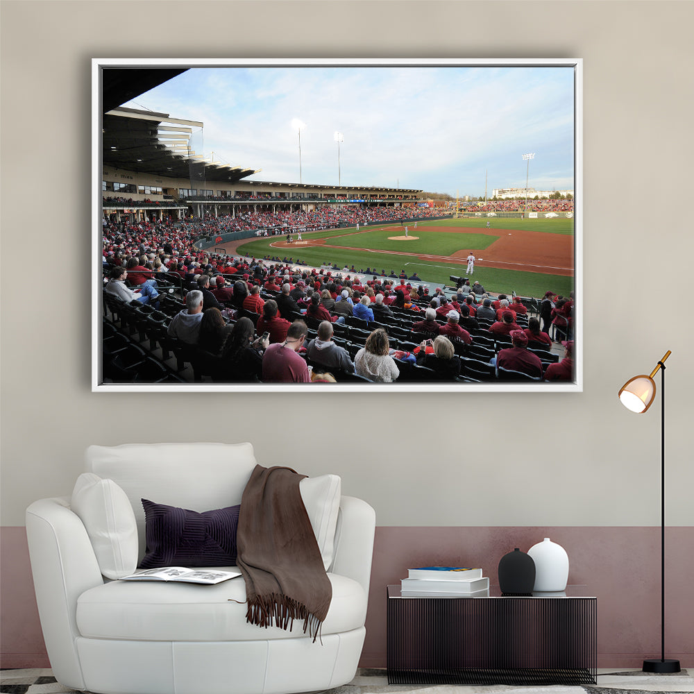 Baum Stadium Crowd, Stadium Canvas, Sport Art, Framed Canvas Print Wall Art, Floating Frame