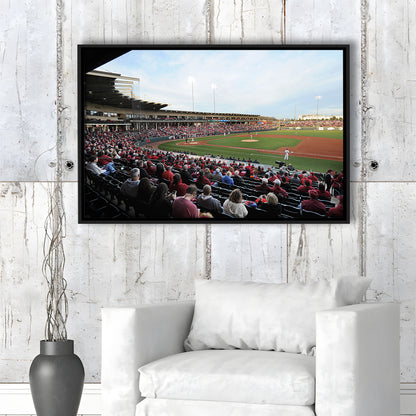Baum Stadium Crowd, Stadium Canvas, Sport Art, Framed Canvas Print Wall Art, Floating Frame