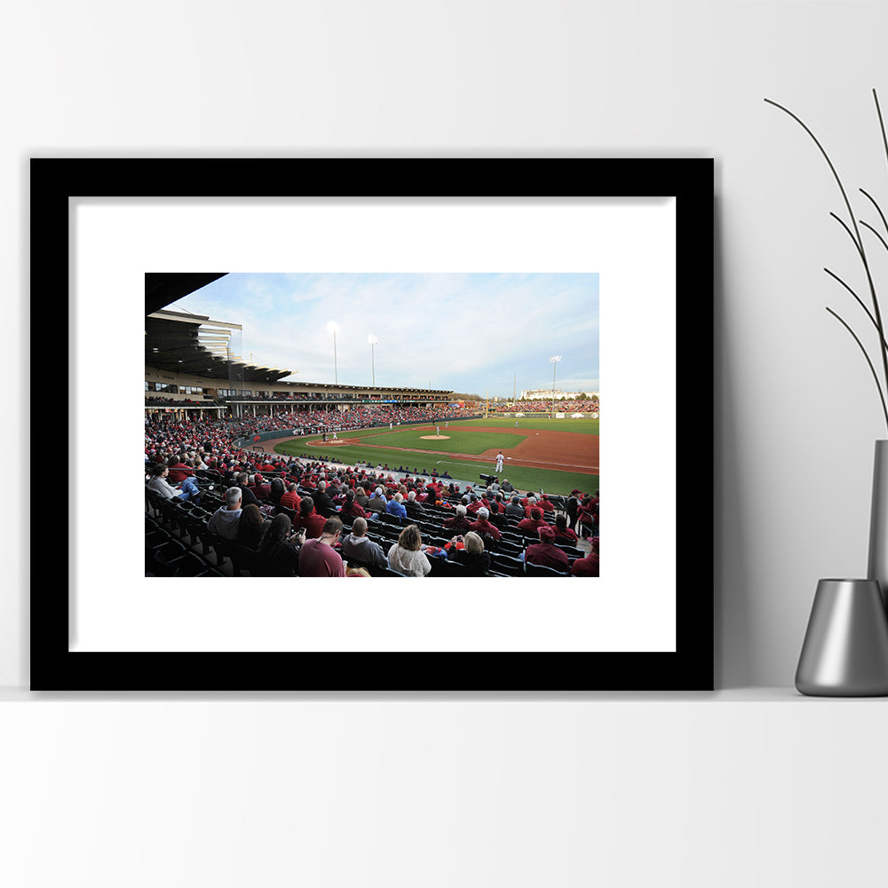 Baum Stadium Crowd, Stadium Canvas, Sport Art, Gift for him, White Border Framed Art Print Wall Decor