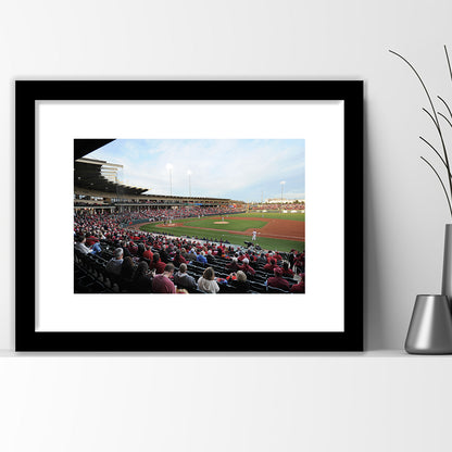 Baum Stadium Crowd, Stadium Canvas, Sport Art, Gift for him, White Border Framed Art Print Wall Decor