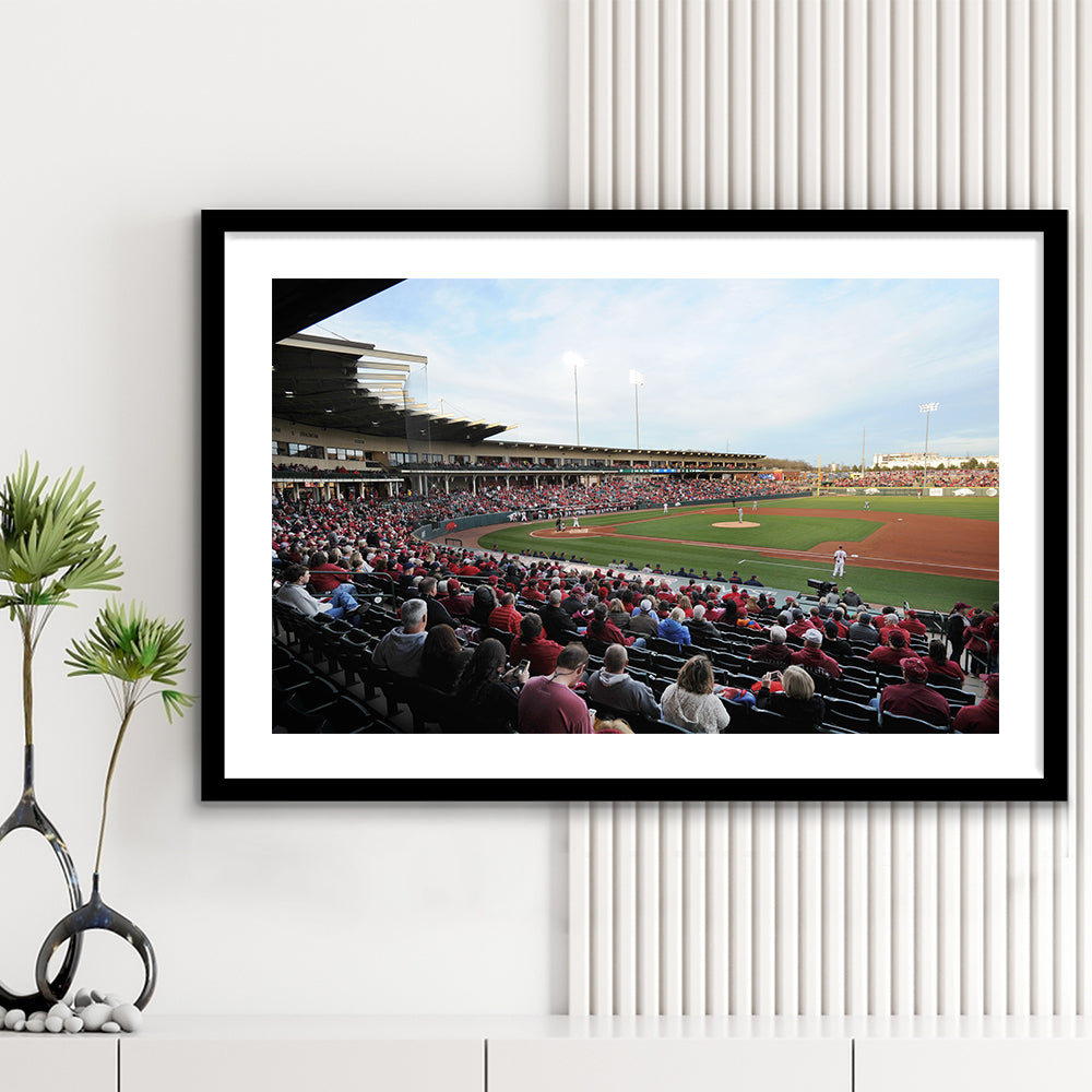 Baum Stadium Crowd, Stadium Canvas, Sport Art, Gift for him, White Border Framed Art Print Wall Decor