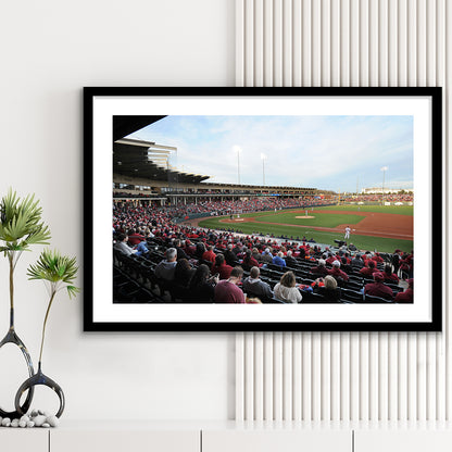 Baum Stadium Crowd, Stadium Canvas, Sport Art, Gift for him, White Border Framed Art Print Wall Decor