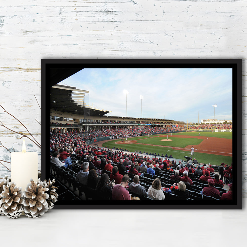 Baum Stadium Crowd, Stadium Canvas, Sport Art, Framed Canvas Print Wall Art, Floating Frame