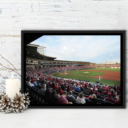 Baum Stadium Crowd, Stadium Canvas, Sport Art, Framed Canvas Print Wall Art, Floating Frame