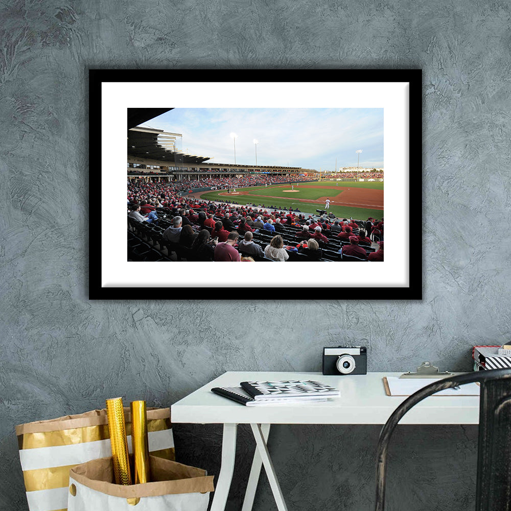 Baum Stadium Crowd, Stadium Canvas, Sport Art, Gift for him, White Border Framed Art Print Wall Decor