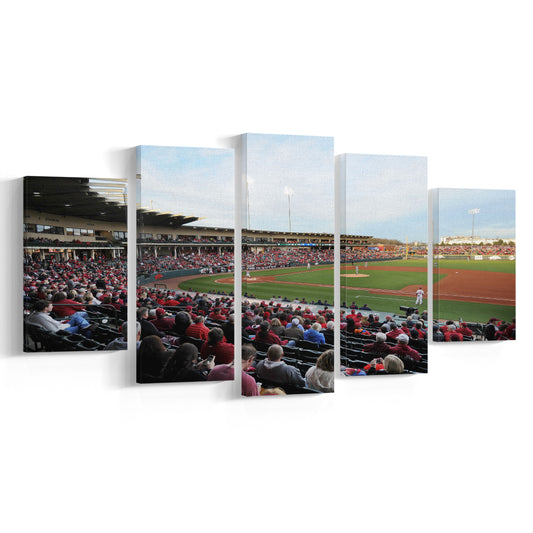 Baum Stadium Crowd, Stadium Canvas, Sport Art, Gift for him, 5 Panel, Large Canvas, Canvas Print Wall Art