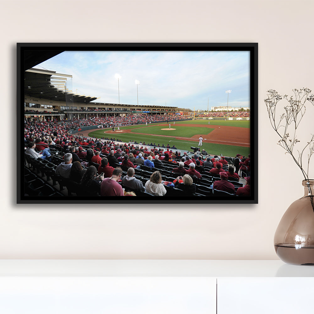 Baum Stadium Crowd, Stadium Canvas, Sport Art, Framed Canvas Print Wall Art, Floating Frame