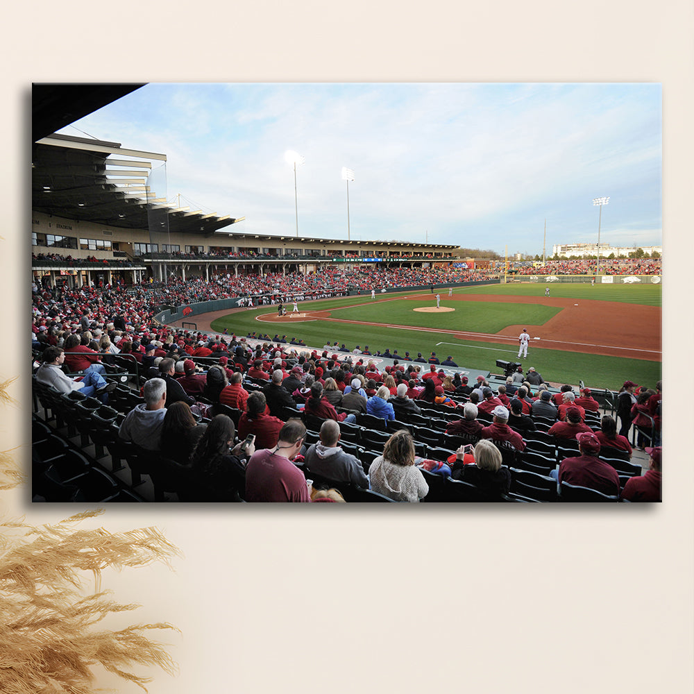 Baum Stadium Crowd, Stadium Canvas, Sport Art, Gift for him, Man Cave Decor, Art Print, Canvas Print Wall Art
